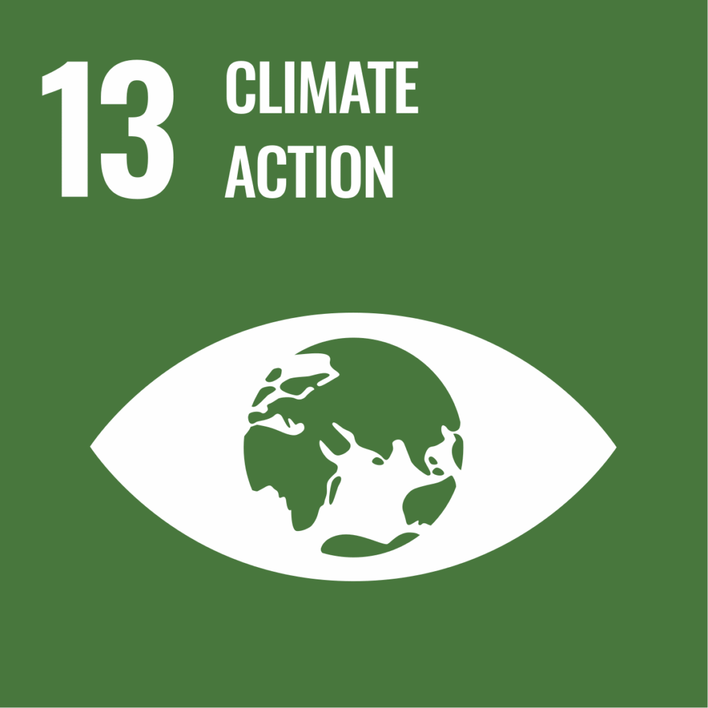 SDG 13