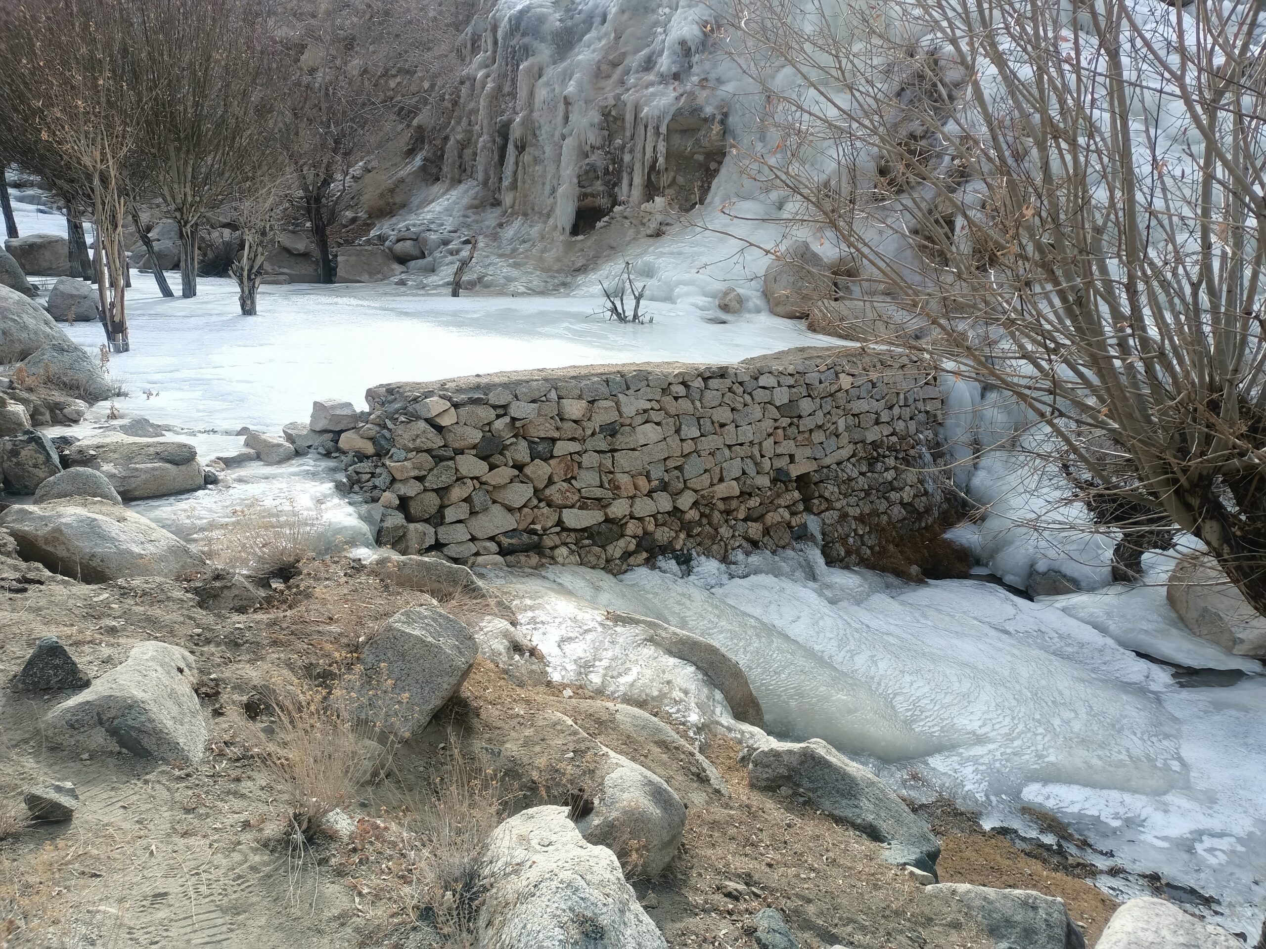 Community Engagement